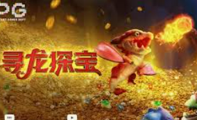 鲸鱼体育电脑免费版