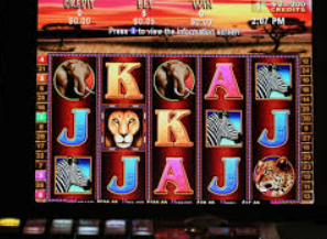 鲸鱼体育桌面版客户端