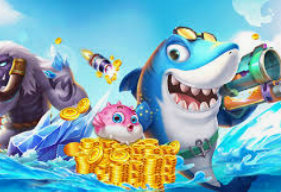 鲸鱼体育电脑免费版