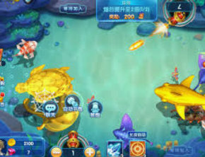 鲸鱼体育2024最新版