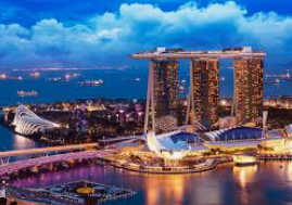 鲸鱼体育免费版