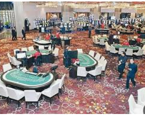 鲸鱼体育最新版